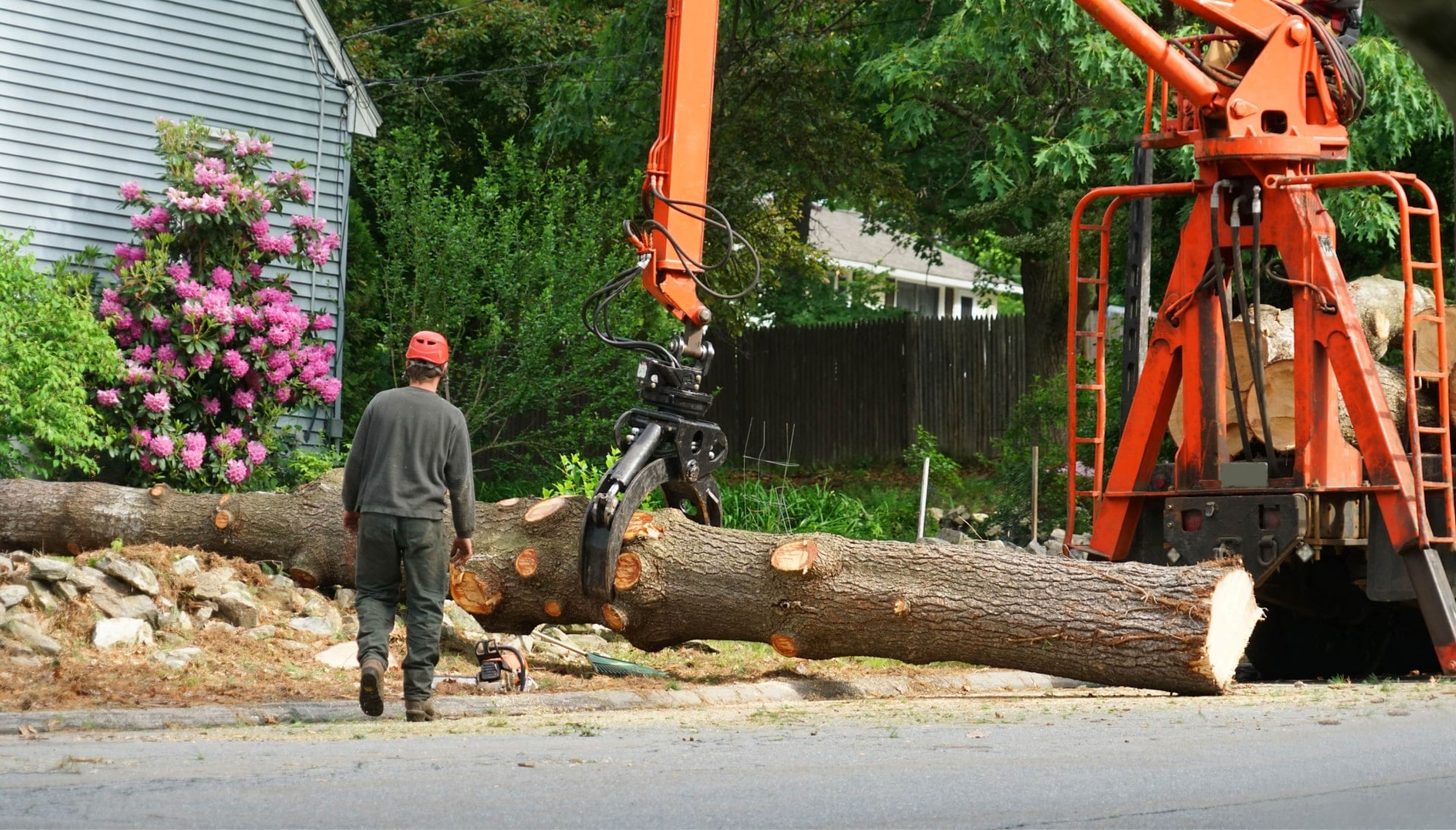 Local partner for Tree removal services in Memphis